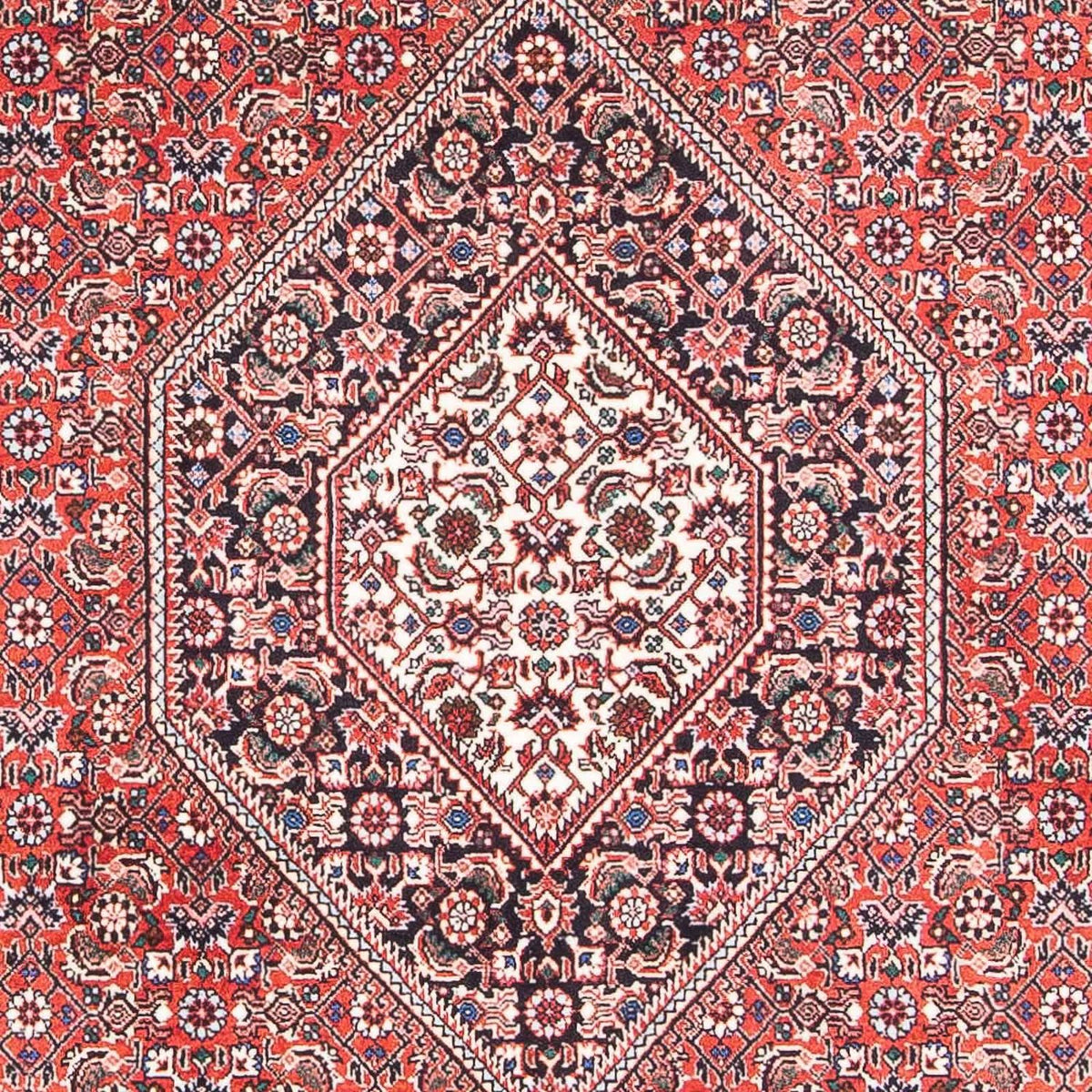 Perserteppich - Bidjar - Royal 176 x 112 cm - rot