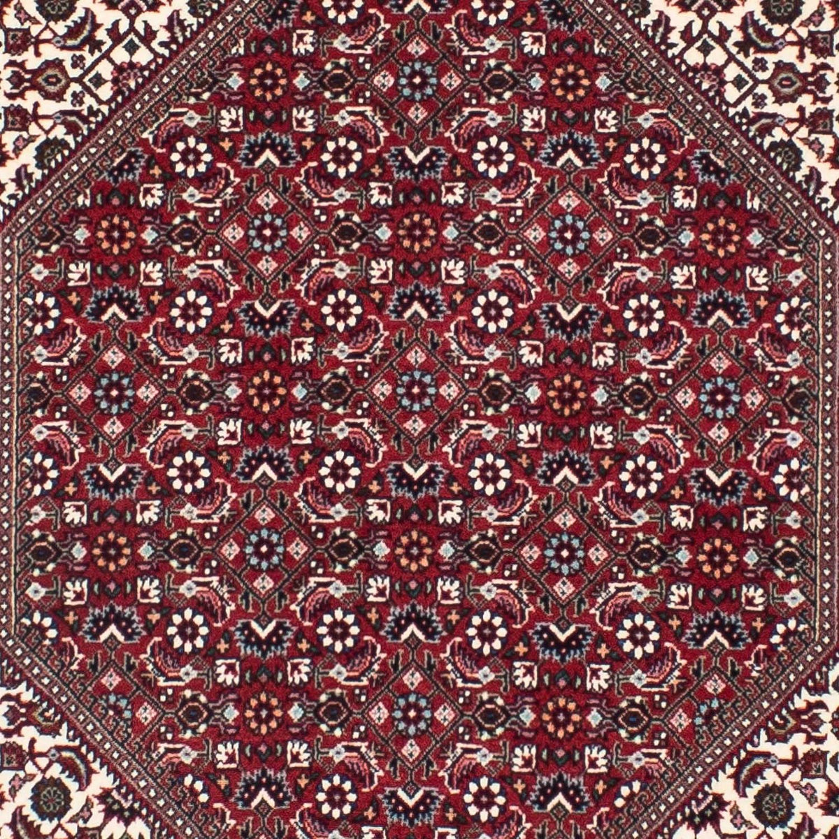 Perserteppich - Bidjar - Royal 300 x 85 cm