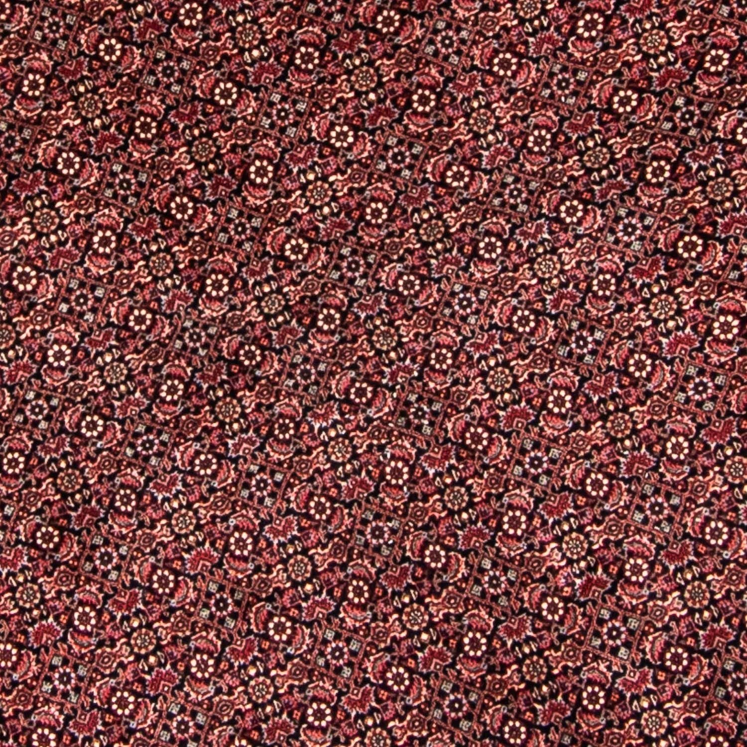 Perserteppich - Bidjar 250 x 250 cm
