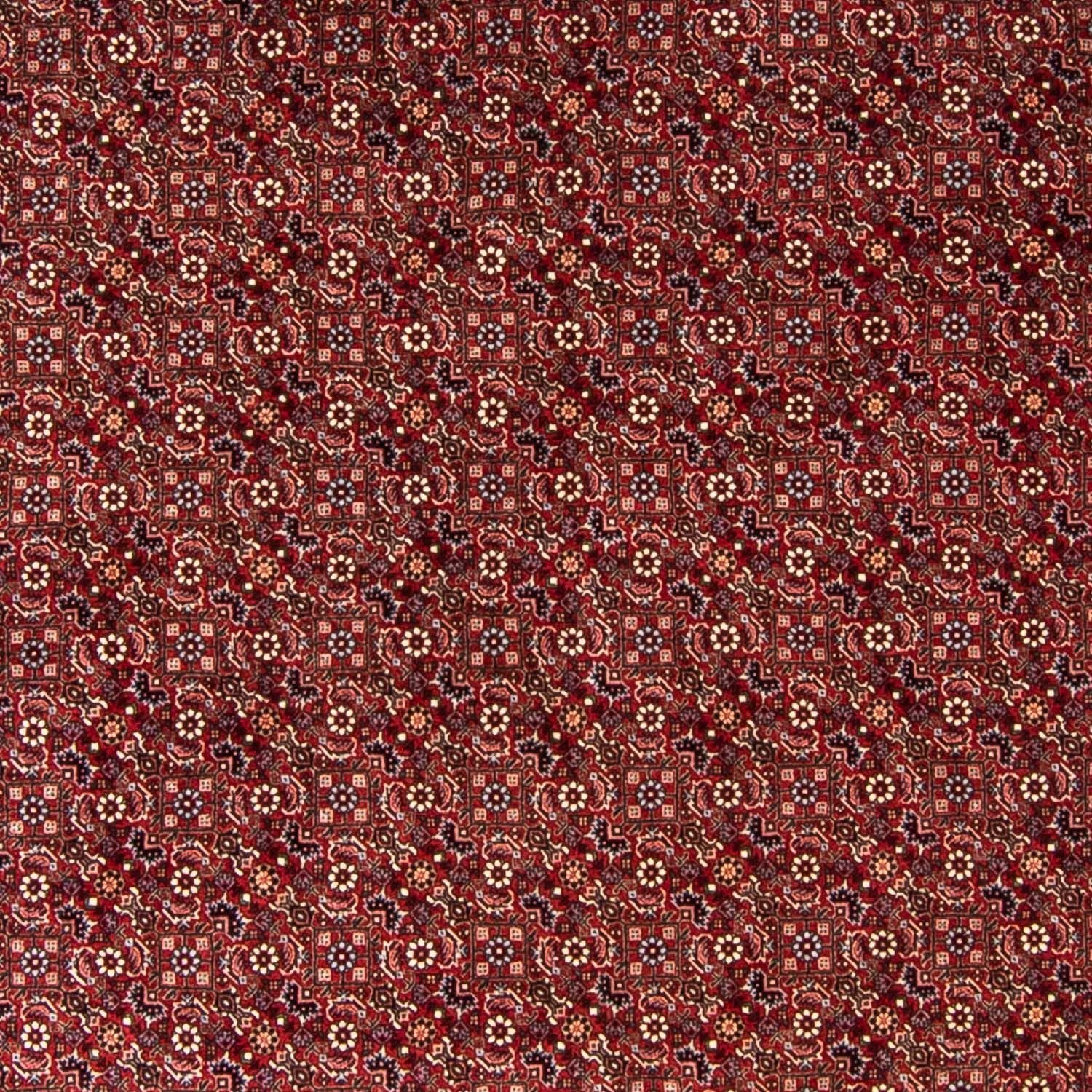 Perserteppich - Bidjar 250 x 250 cm