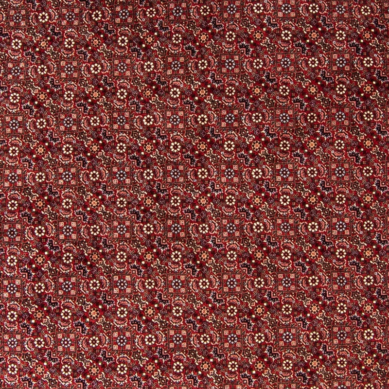 Perserteppich - Bidjar 250 x 250 cm