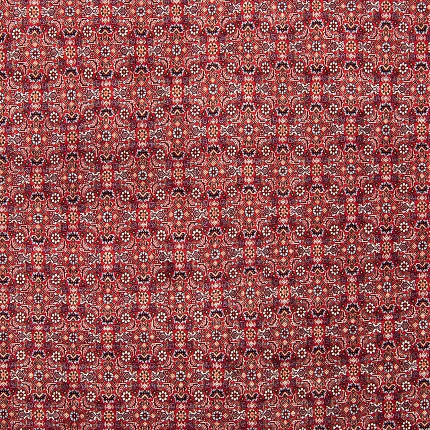 Perserteppich - Bidjar 347 x 248 cm