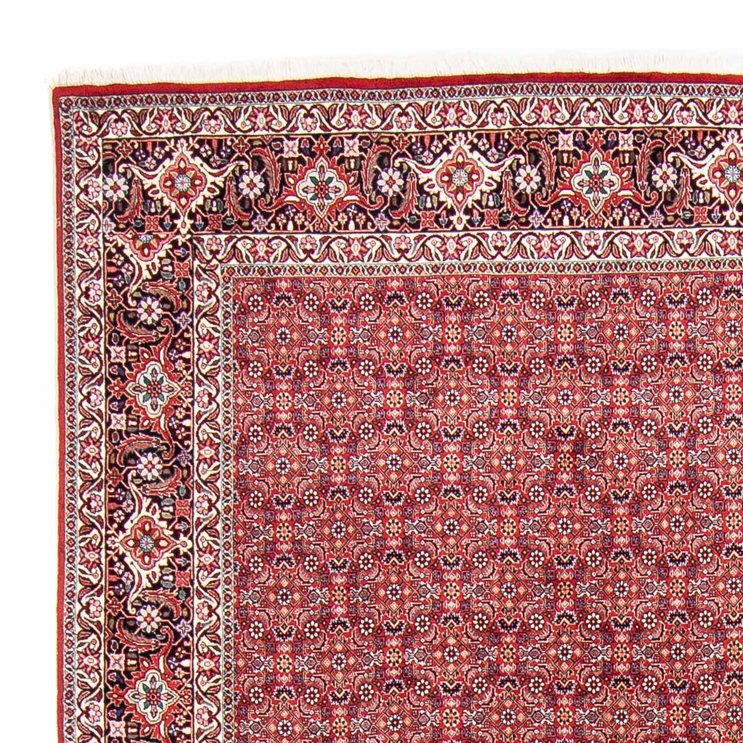 Perserteppich - Bidjar 347 x 248 cm