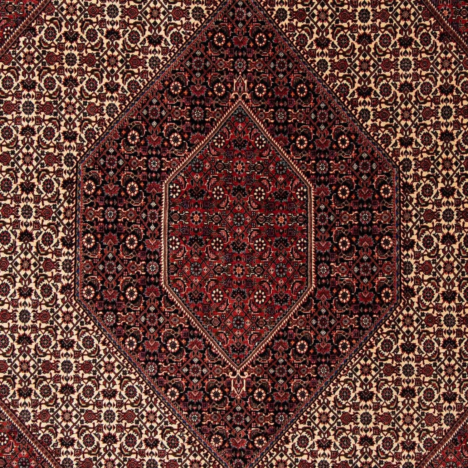 Perserteppich - Bidjar 245 x 202 cm