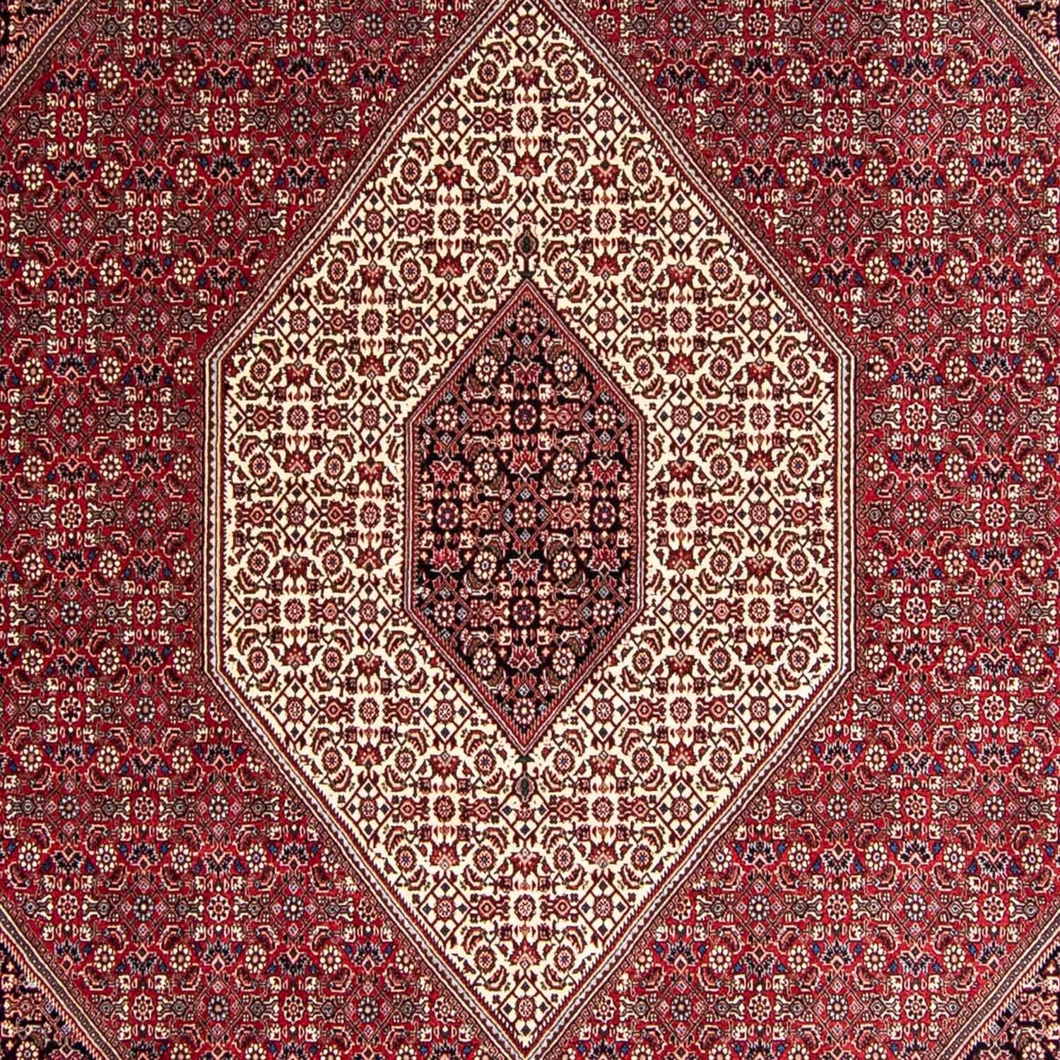 Perserteppich - Bidjar 343 x 252 cm