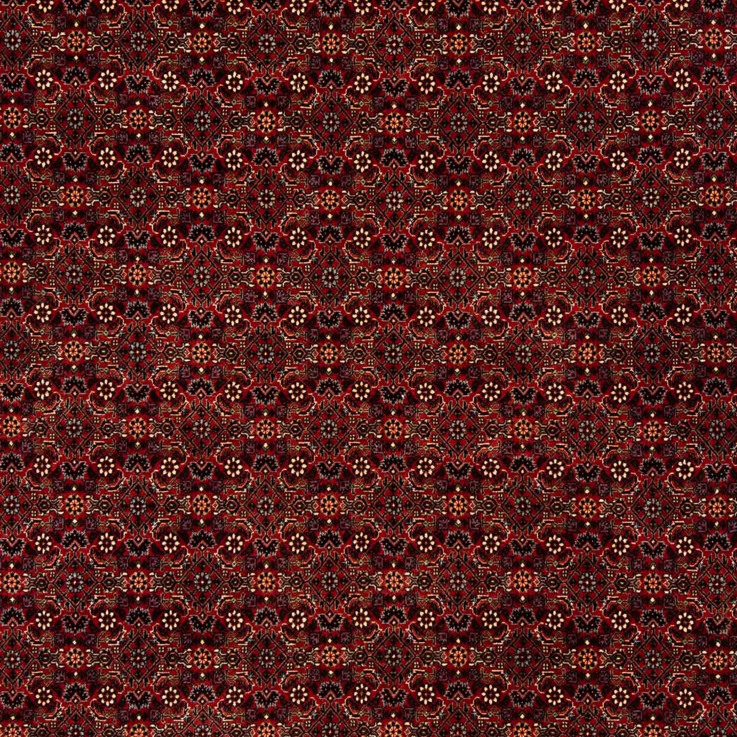 Perserteppich - Bidjar 256 x 202 cm