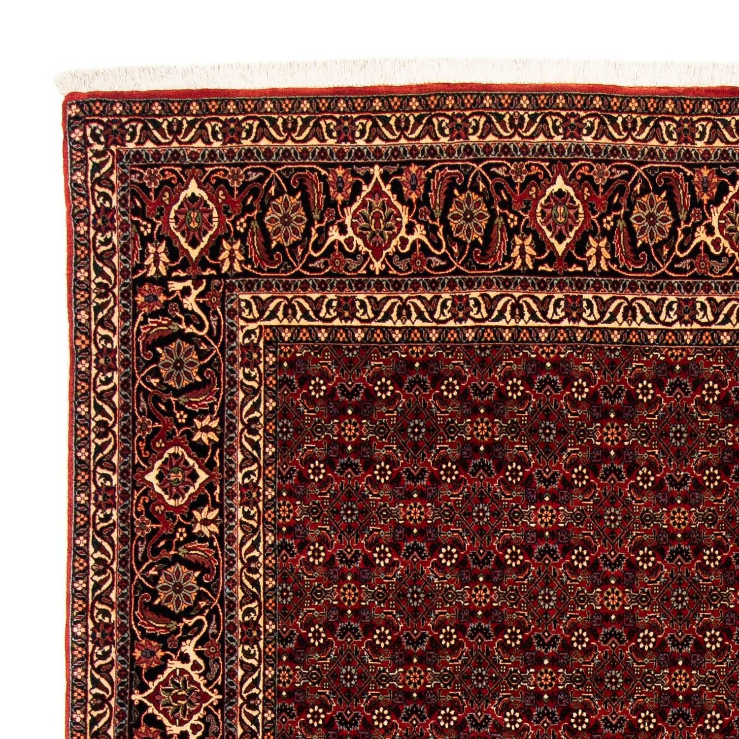 Perserteppich - Bidjar 256 x 202 cm