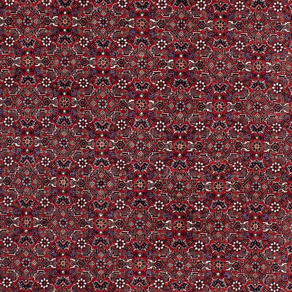 Perserteppich - Bidjar - Royal 221 x 143 cm