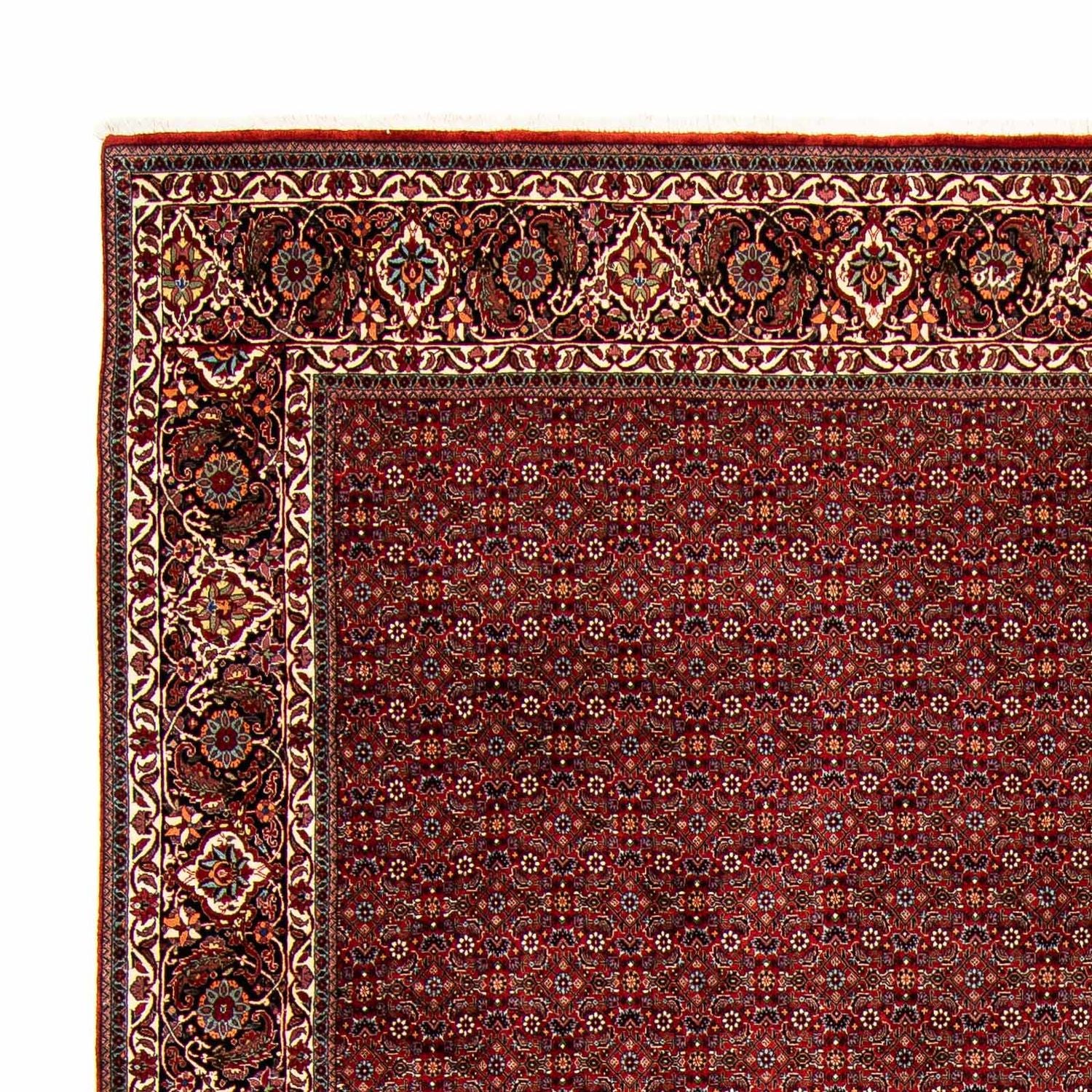 Perserteppich - Bidjar 392 x 299 cm