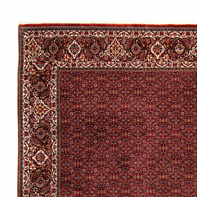 Perserteppich - Bidjar 392 x 299 cm