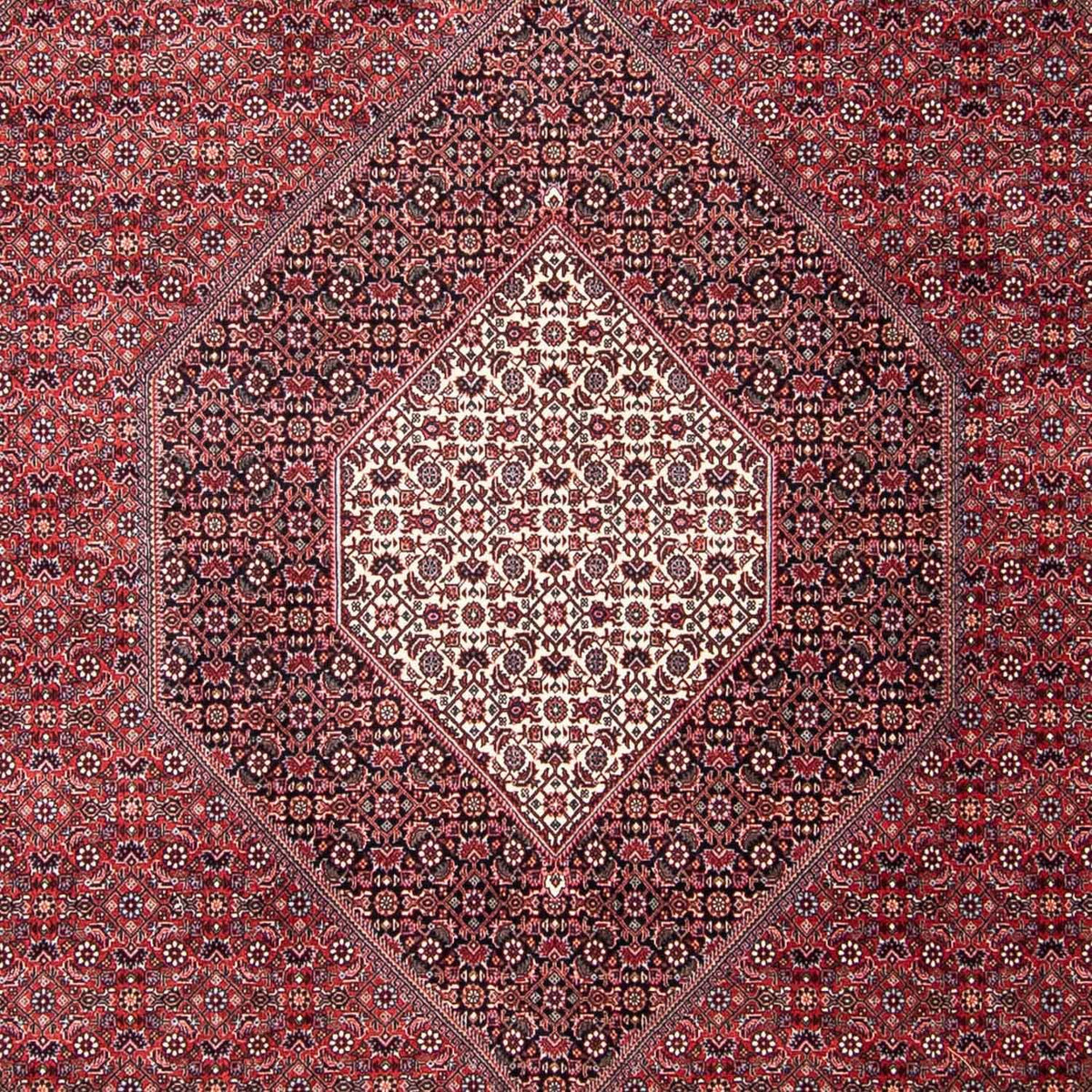 Perserteppich - Bidjar 302 x 253 cm