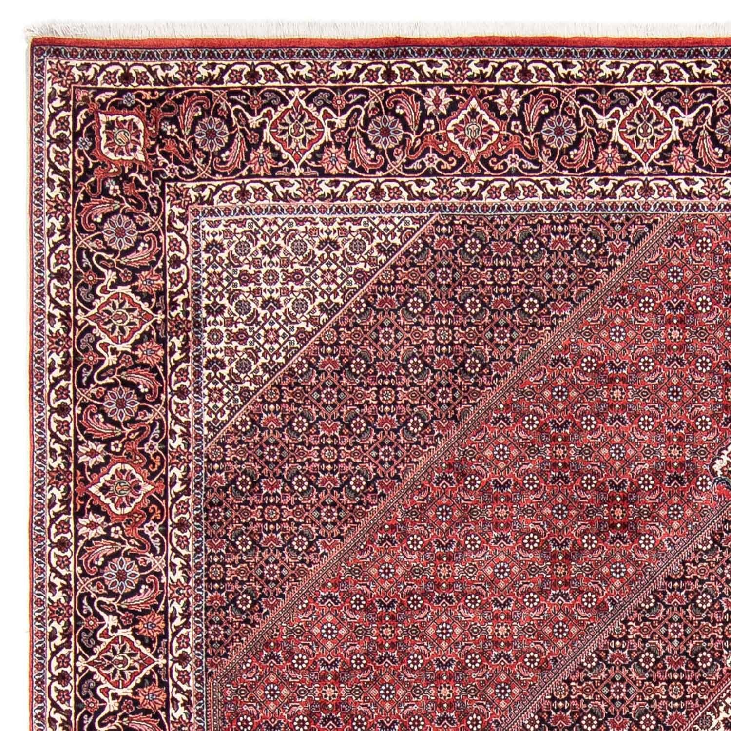 Perserteppich - Bidjar 302 x 253 cm