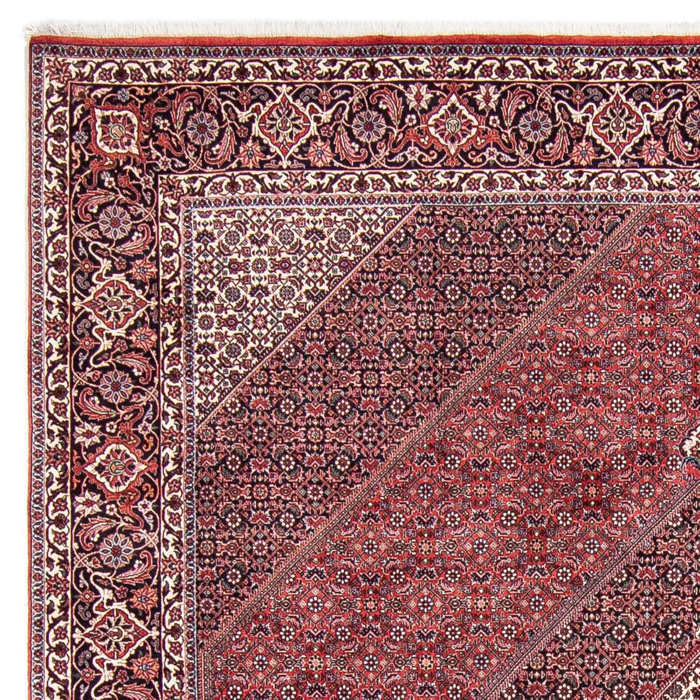 Bidjar Teppich 302x253cm - Perserteppich