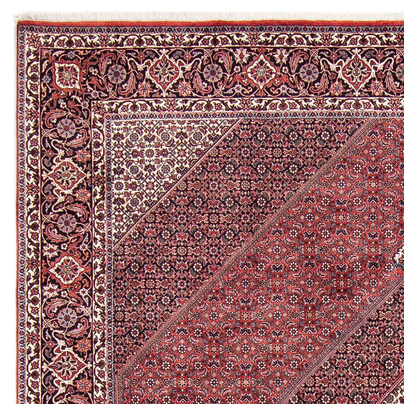 Perserteppich - Bidjar 302 x 253 cm