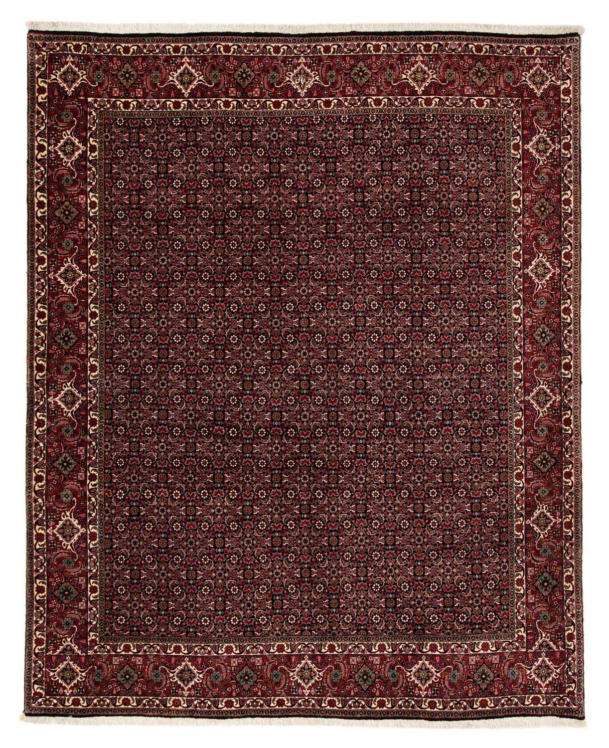 Perserteppich - Bidjar 248 x 198 cm