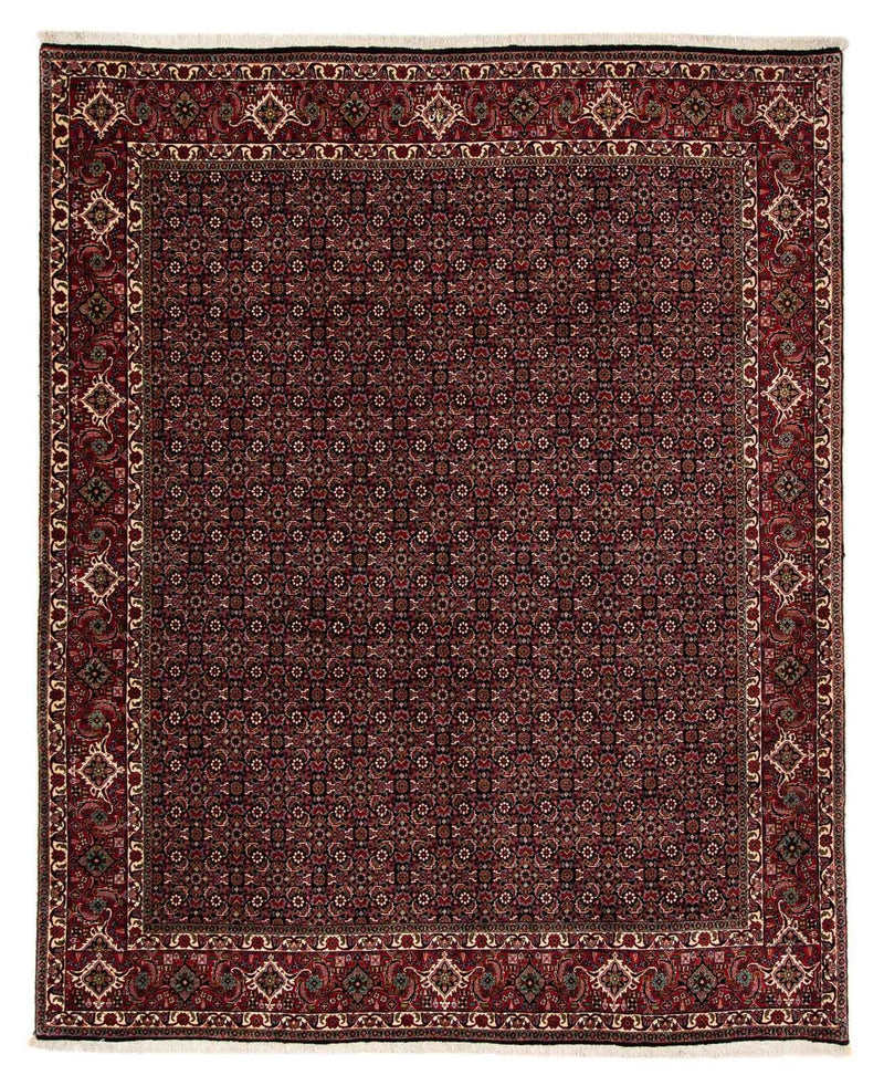 Perserteppich - Bidjar 248 x 198 cm
