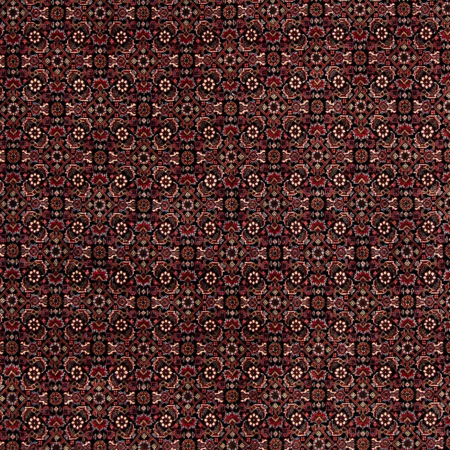 Perserteppich - Bidjar 248 x 198 cm