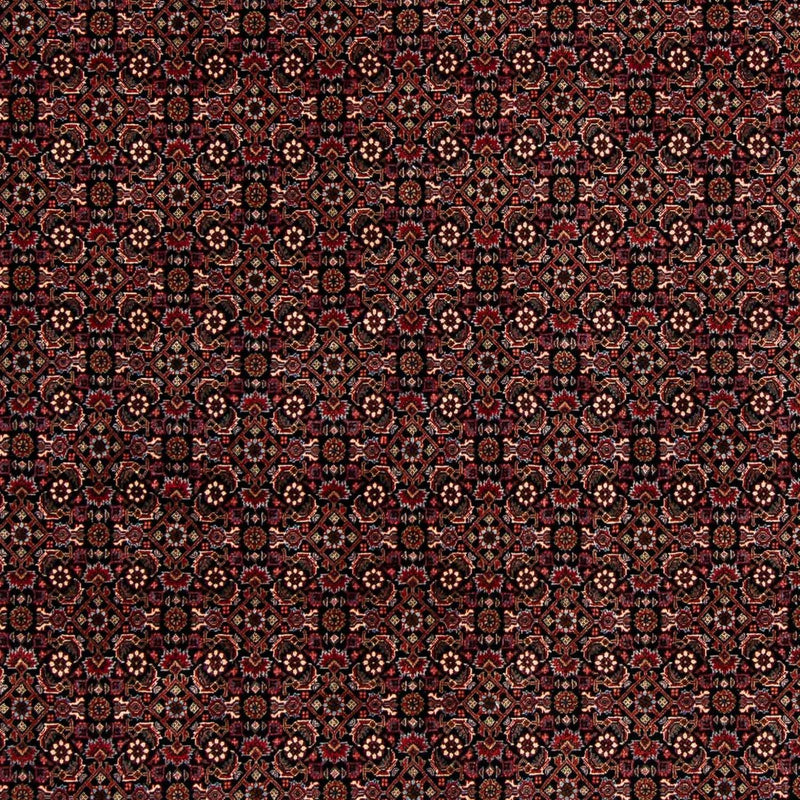 Perserteppich - Bidjar 248 x 198 cm