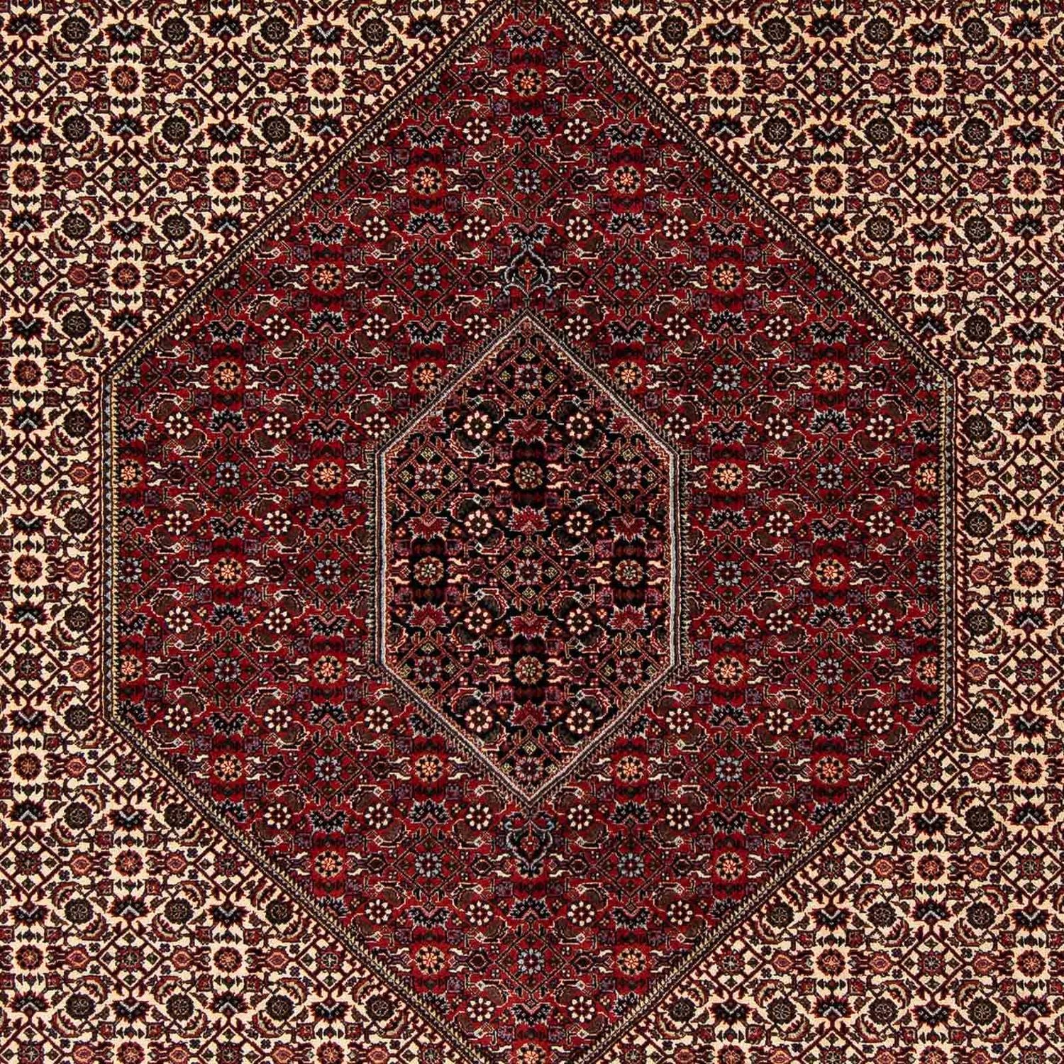Perserteppich - Bidjar 262 x 205 cm