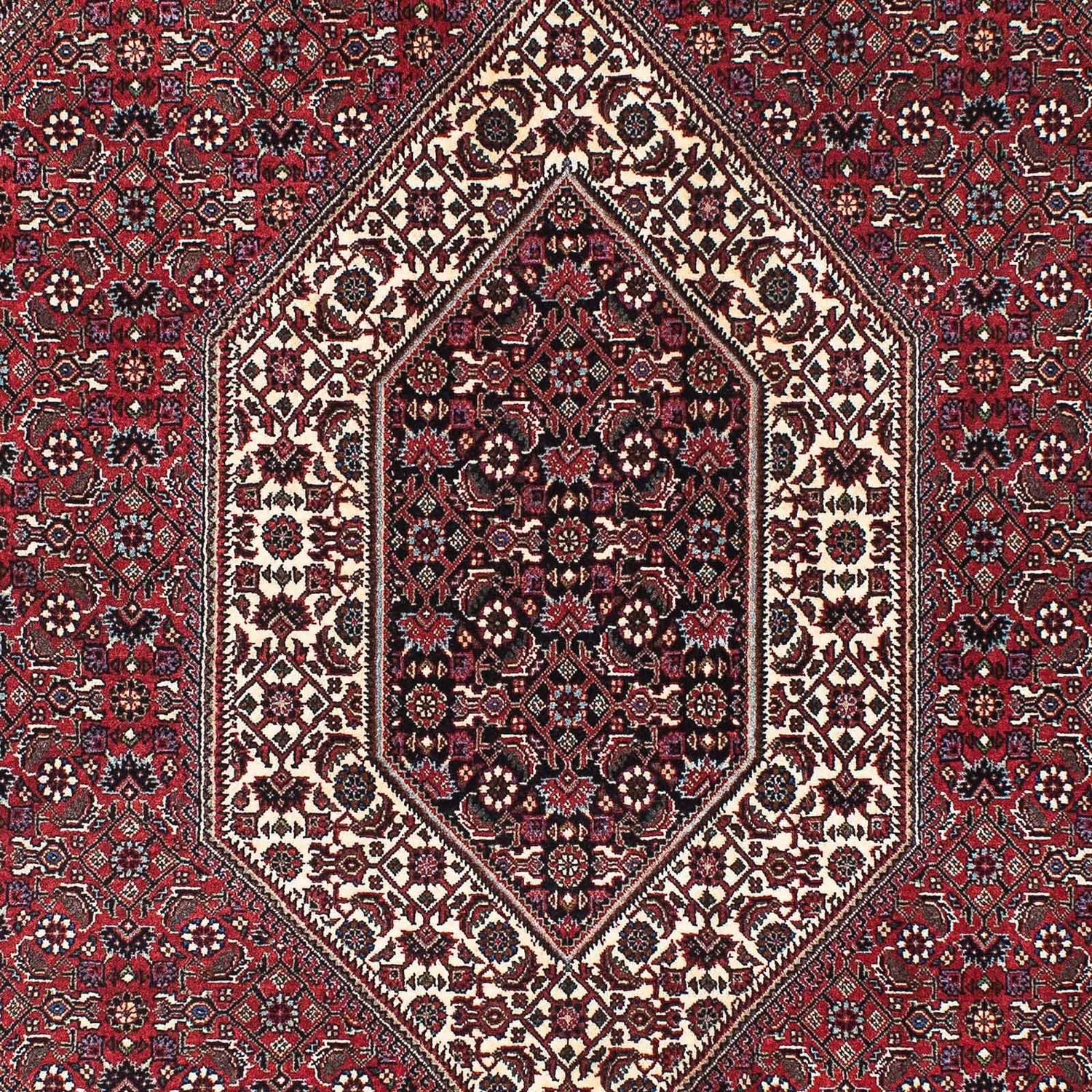 Perserteppich - Bidjar - Royal 211 x 136 cm