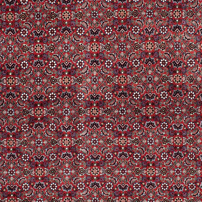 Perserteppich - Bidjar - Royal 214 x 131 cm