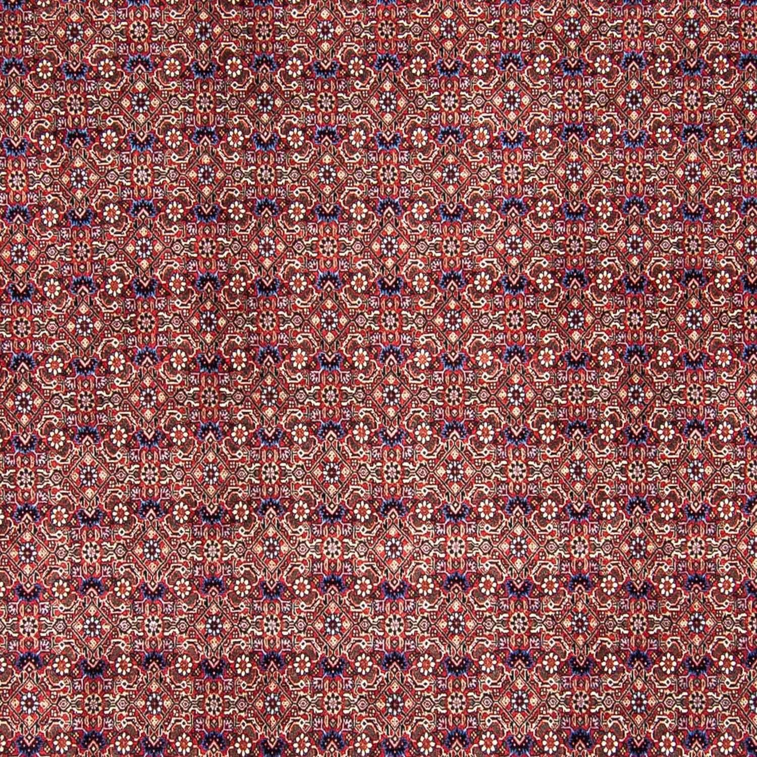 Perserteppich - Bidjar 292 x 250 cm