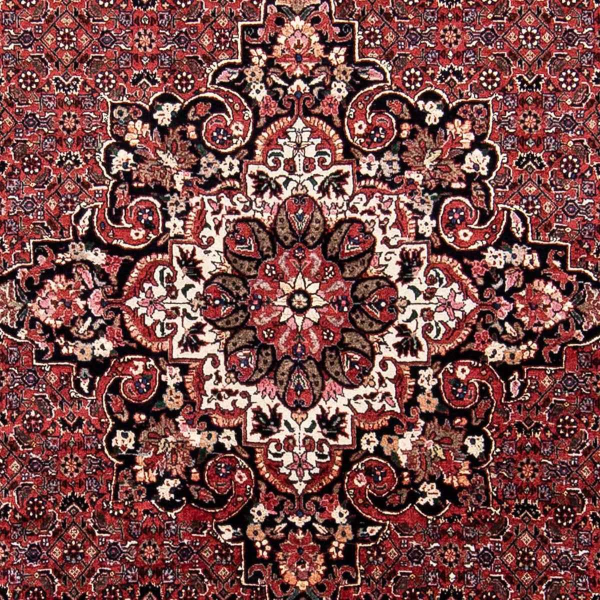Perserteppich - Bidjar 230 x 175 cm Teppich Wohnzimmer