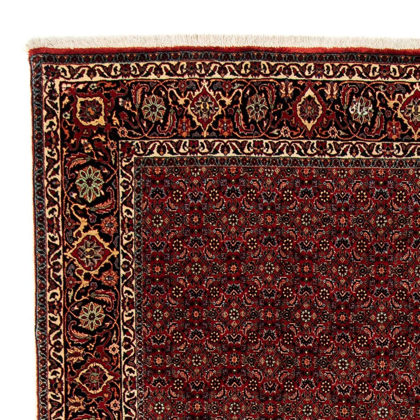 Bidjar Teppich 246x200cm - Perserteppich