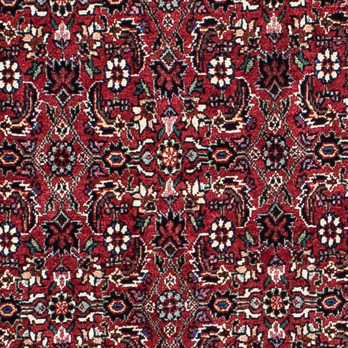 Perserteppich - Bidjar - Royal 208 x 134 cm Teppichbrücke