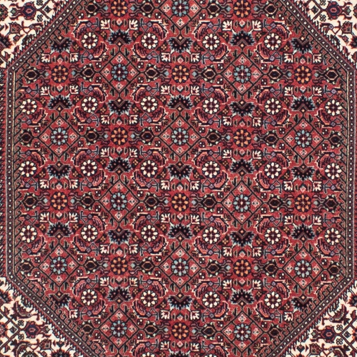 Perserteppich - Bidjar - Royal 317 x 88 cm Teppich Läufer
