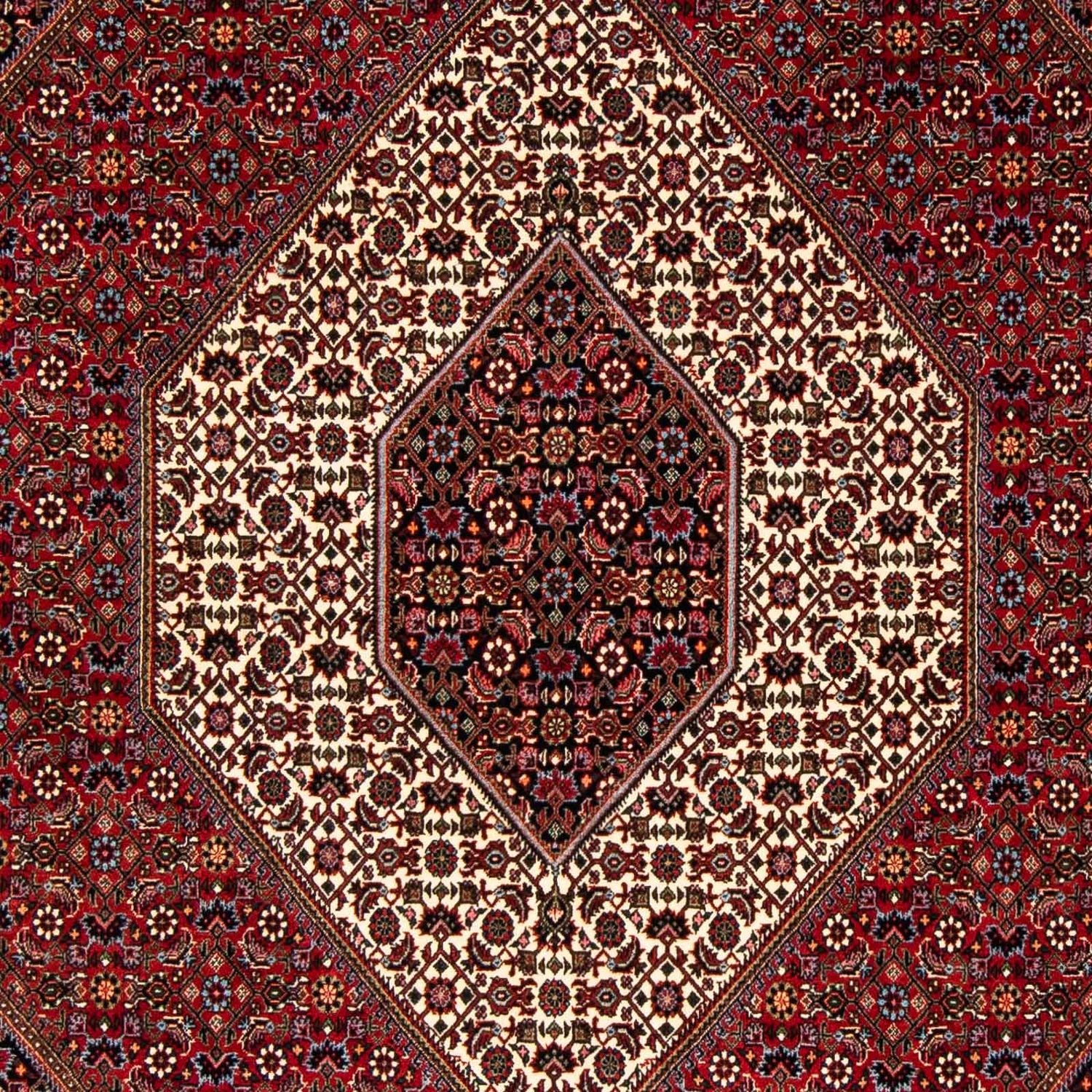 Perserteppich - Bidjar 251 x 176 cm