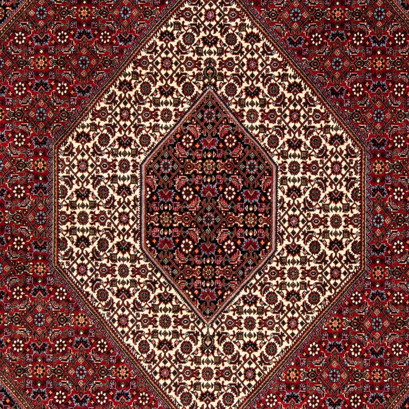 Perserteppich - Bidjar 251 x 176 cm
