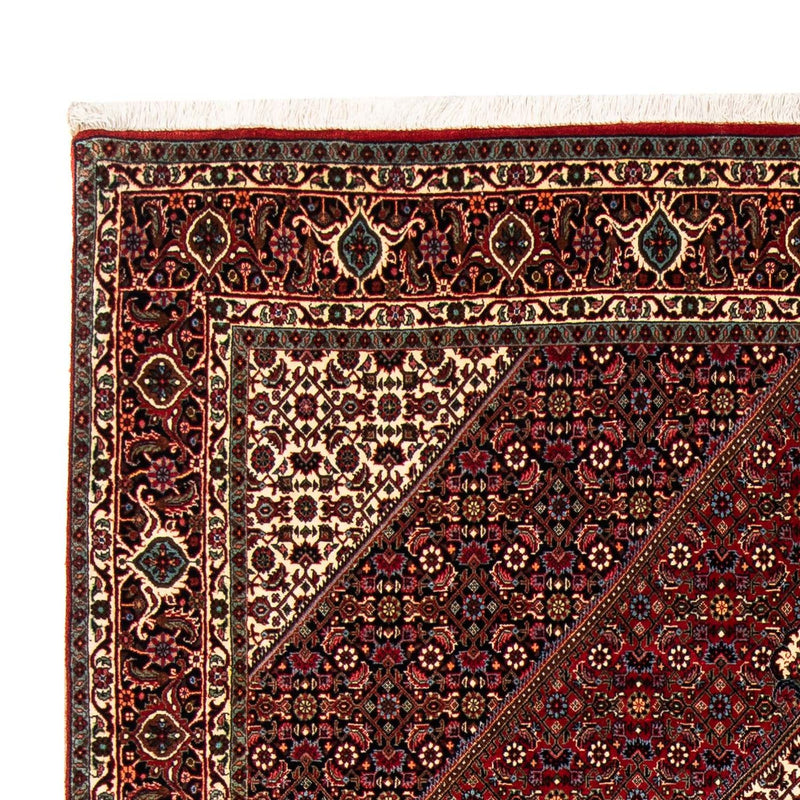 Perserteppich - Bidjar 251 x 176 cm