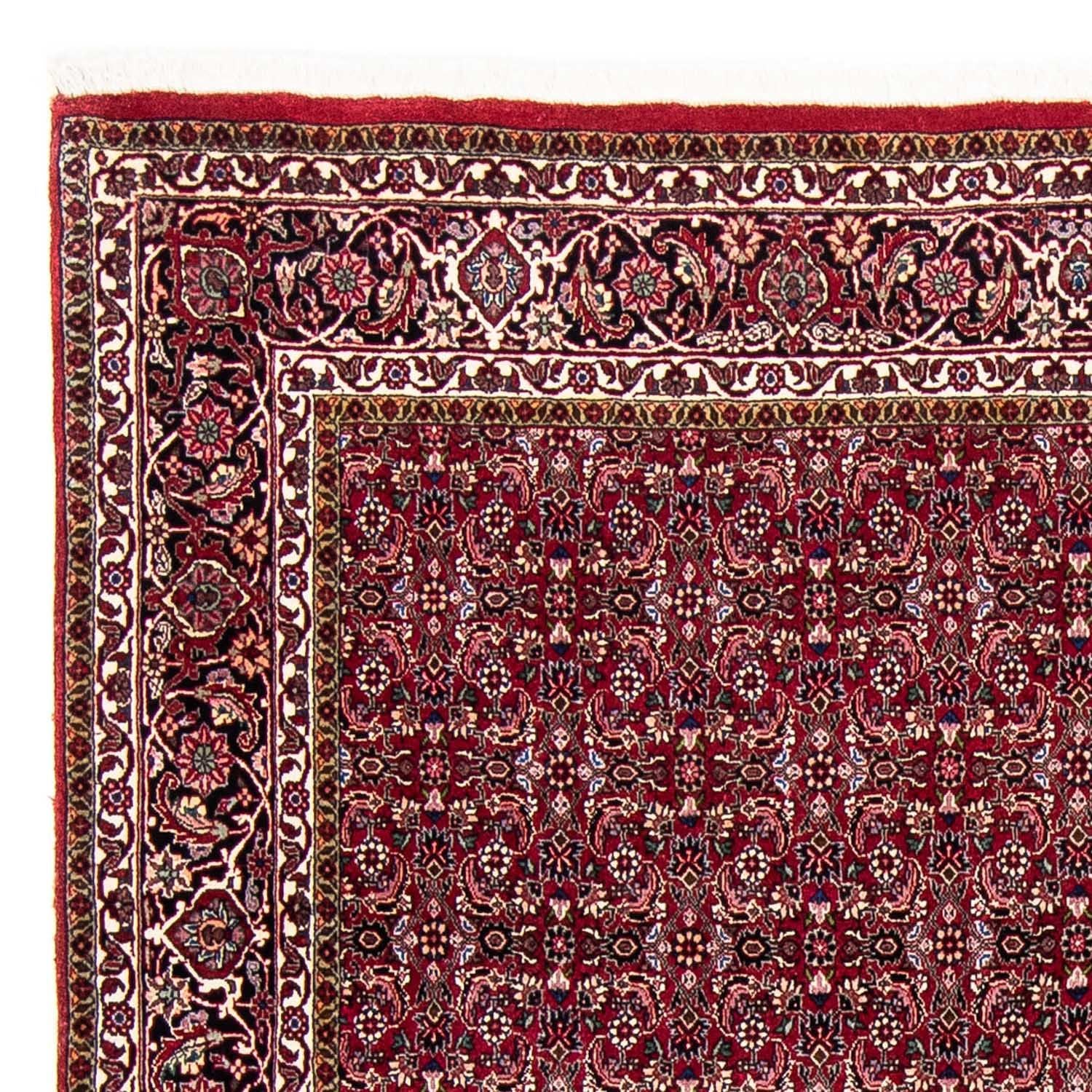 Perserteppich - Bidjar 245 x 174 cm Teppich Wohnzimmer