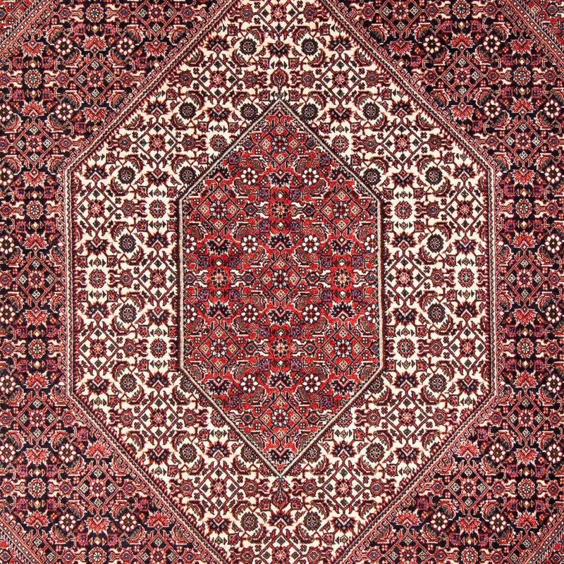 Perserteppich - Bidjar 242 x 168 cm