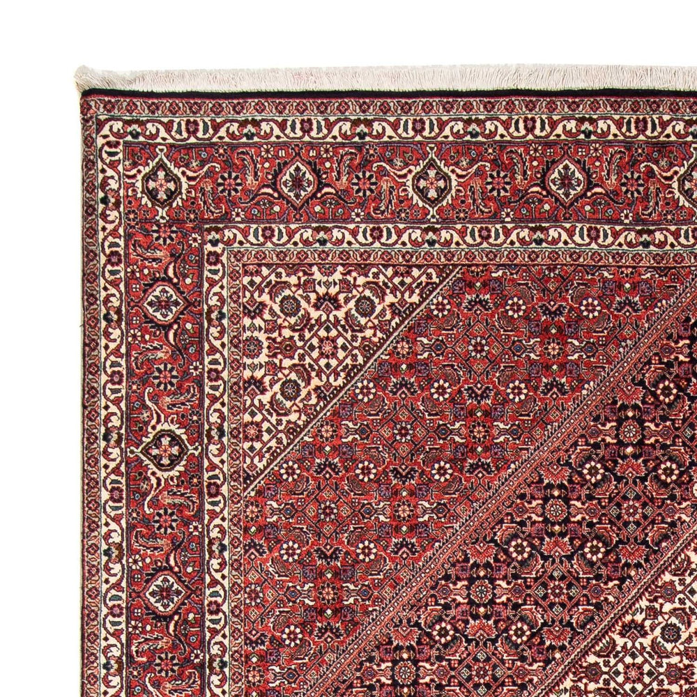 Perserteppich - Bidjar 242 x 168 cm
