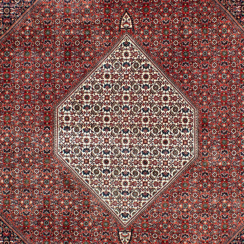 Perserteppich - Bidjar 301 x 208 cm