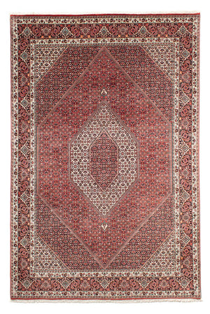 Perserteppich - Bidjar 303 x 203 cm