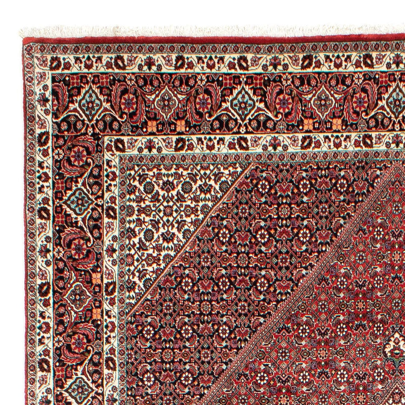 Perserteppich - Bidjar 303 x 203 cm