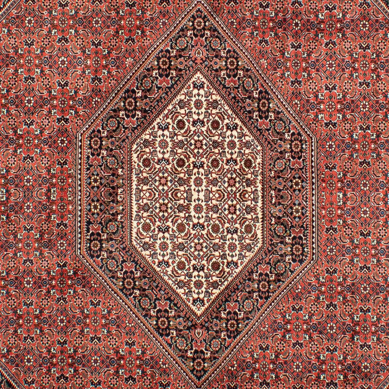 Perserteppich - Bidjar 300 x 203 cm