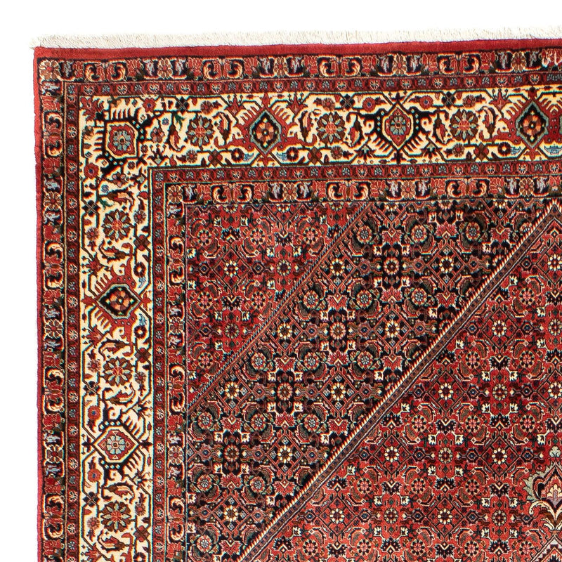 Perserteppich - Bidjar 300 x 203 cm