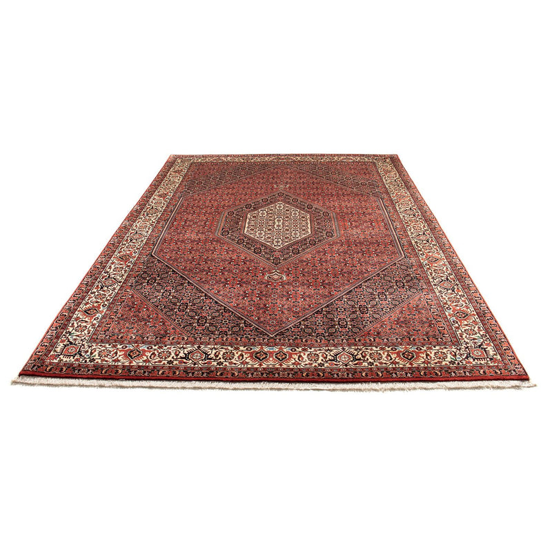 Perserteppich - Bidjar 300 x 203 cm