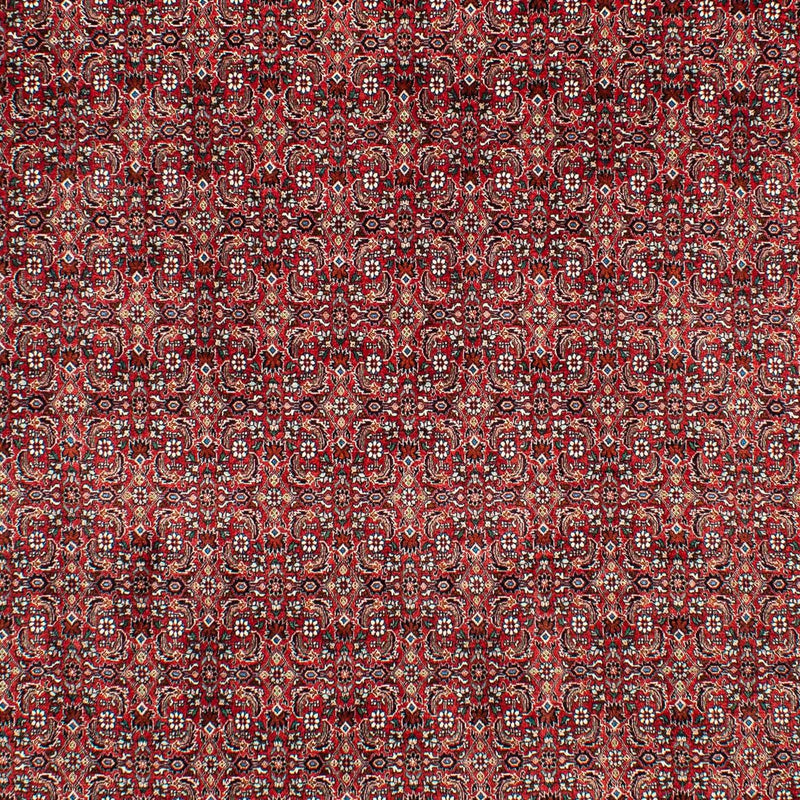 Perserteppich - Bidjar 309 x 209 cm