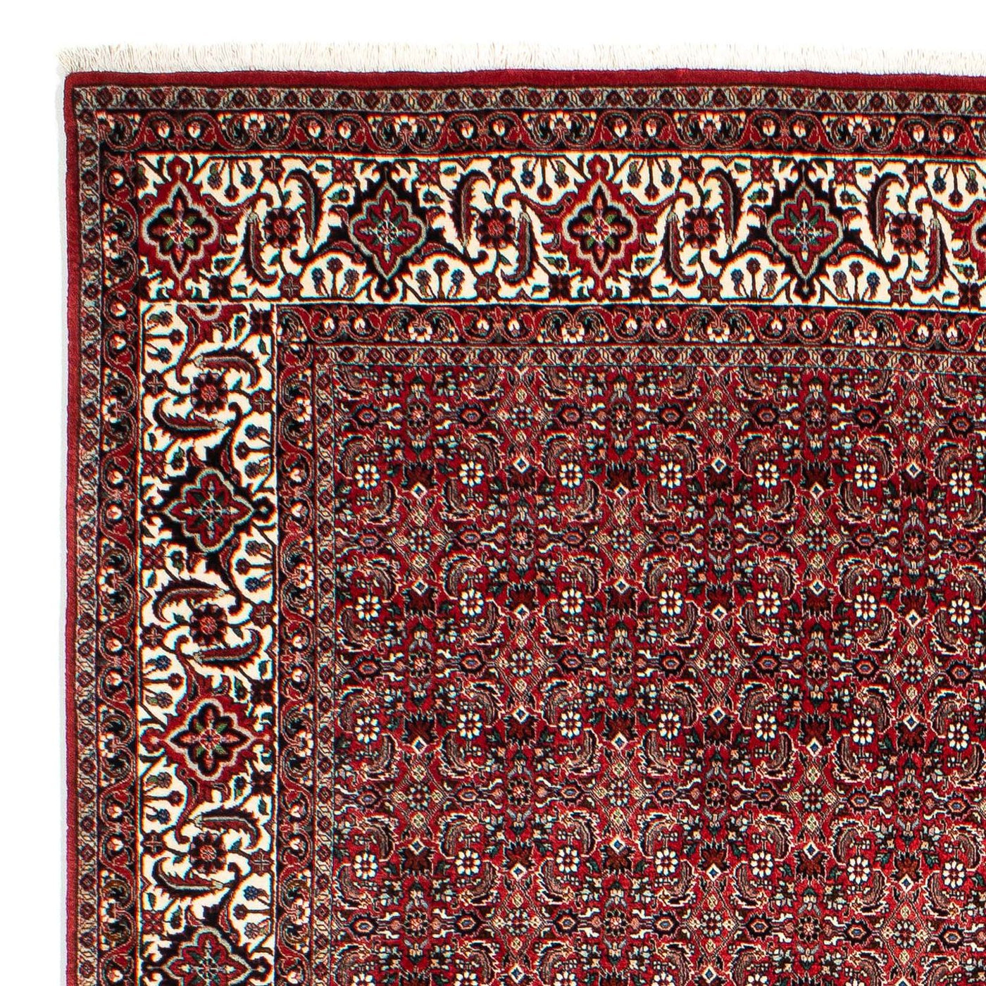 Bidjar Teppich 309x209cm - Perserteppich