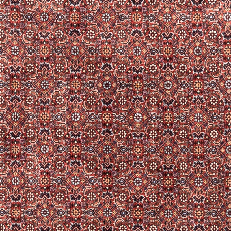Perserteppich - Bidjar - Royal 306 x 204 cm
