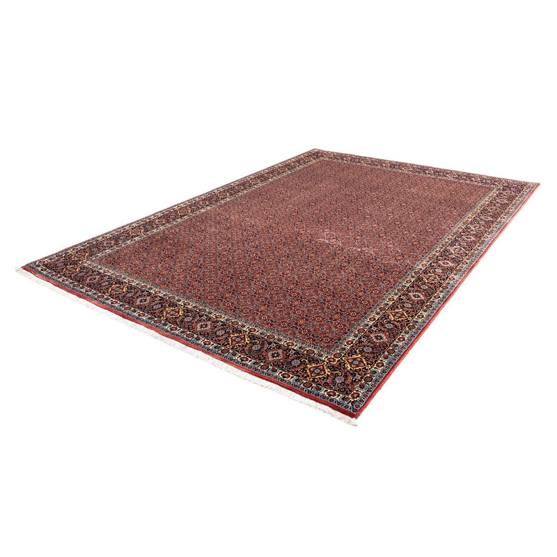 Perserteppich - Bidjar - Royal 306 x 204 cm