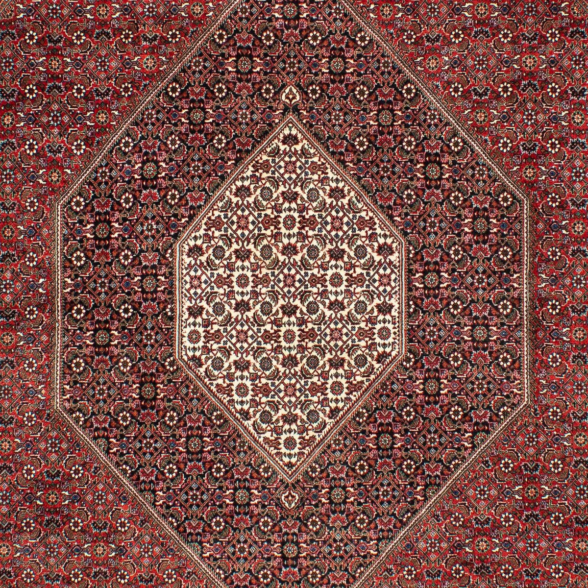 Perserteppich - Bidjar 309 x 208 cm