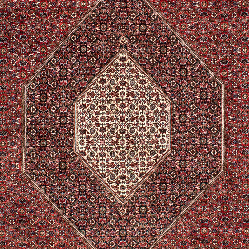 Perserteppich - Bidjar 309 x 208 cm
