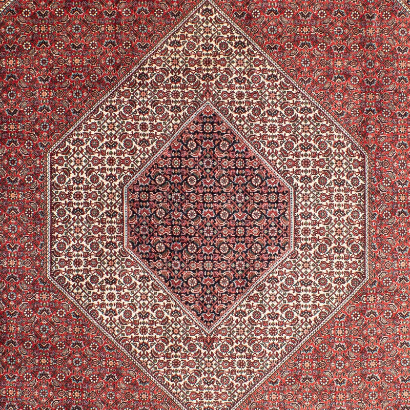 Perserteppich - Bidjar 311 x 205 cm