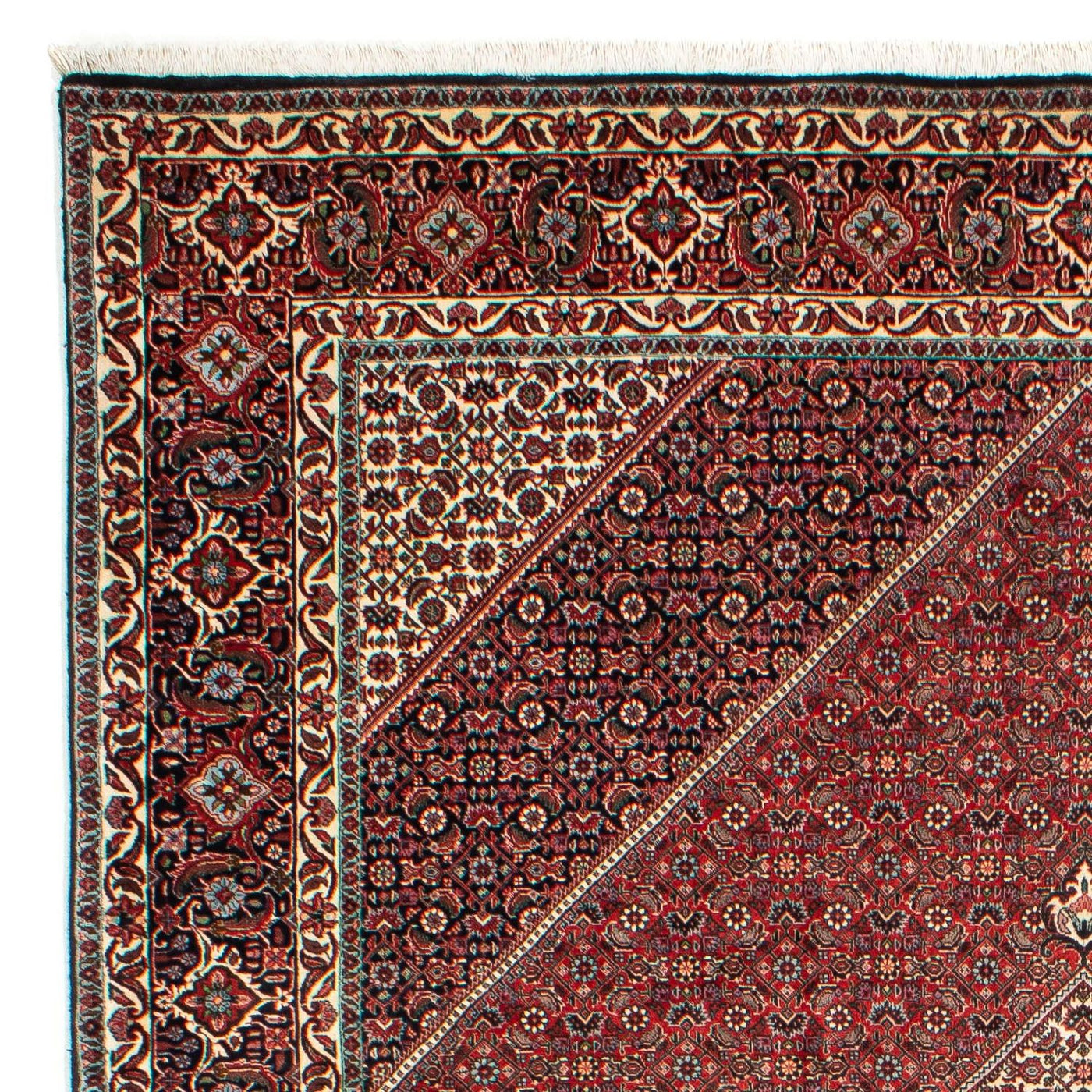 Bidjar Teppich 311x205cm - Perserteppich